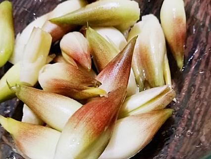  见到|农村一种随处可见的植物，农民见到就拔，在国外却价值百元