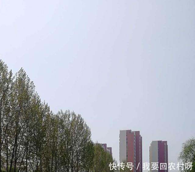  『飘过去』焦作新河里好多死鱼，1分钟飘过去10多条，有钓鱼人说下毒太可恶！