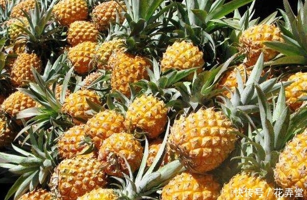 「看准」买菠萝,不论大小,只要看准这3个地方,就能买到新鲜多汁的菠萝
