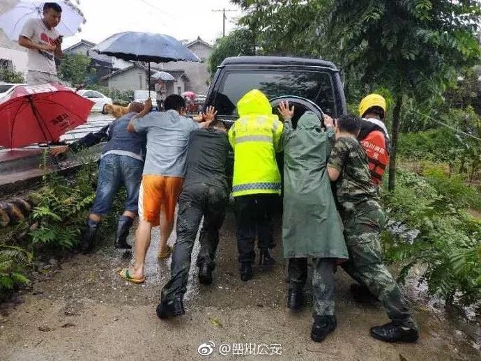 辟谣！四川暴雨与石犀移位无关，鳄鱼均在救护站内！这10个谣言不