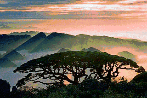  #邂逅#在大山深处邂逅古老神秘的千年瑶族，感受原生态的瑶族风情