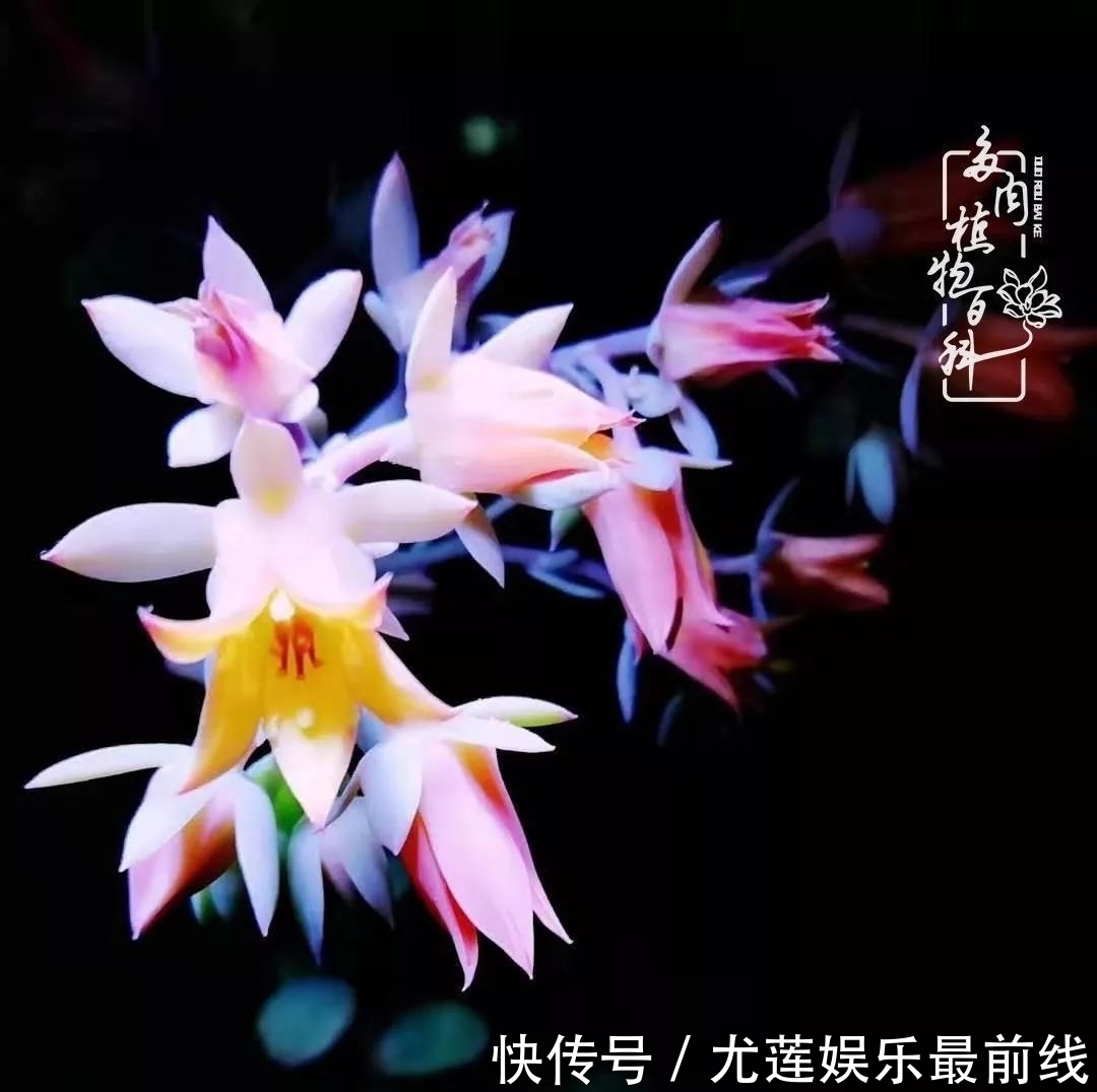 『那种』我爱的,就是你的存在!只要努力该来的都在路上!