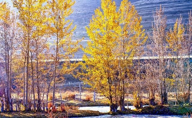 想省钱省时的自驾游怎么走？走川西能省哪些钱呢（附路线 景点）