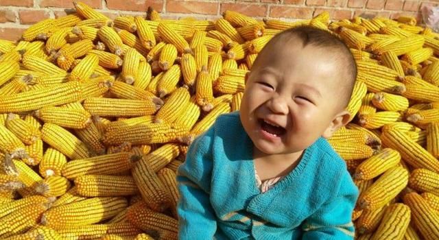 11月份玉米价格将大幅上涨,18年玉米要挣钱了?