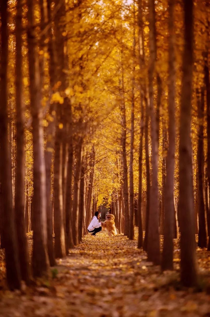 10个藏在深山人不知的古村落，却是世外桃源