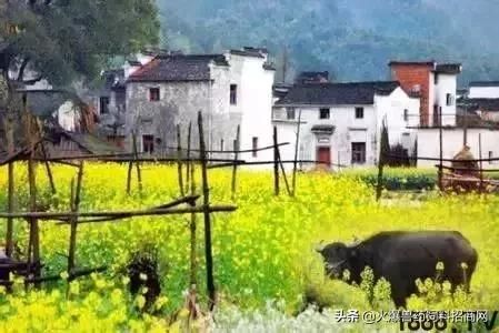 对不起，我回去当农民了！中国即将实行三权分置