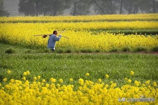 距温州2h的处女小县城，集全了浙江所有令人意外的美景，鲜为人知