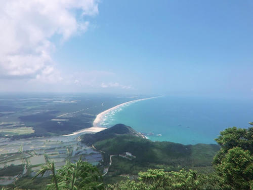 何必去泰国！这个海边小城椰林遍地，人少便宜，海鲜100吃到撑！