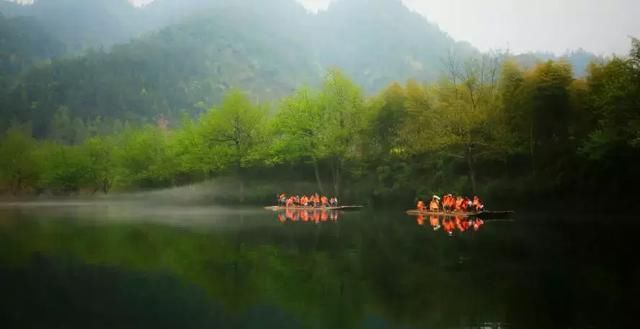 “最美乡村”的称号的婺源花开得美爆了！