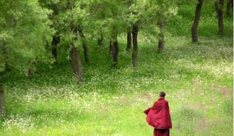 唐代高僧的一首禅诗，境界清幽，心情不好时可以读一读