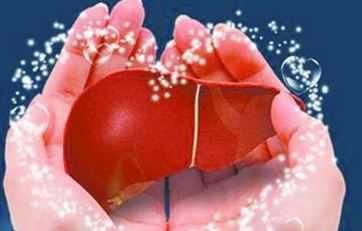 肝病患者注意:长期服用灵芝孢子粉具有保肝护