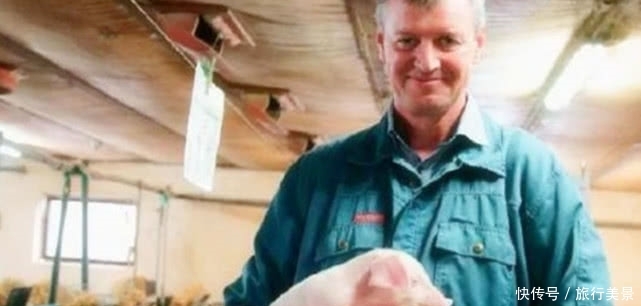  「强国」世界养猪“第一”强国：两万头猪仅需三个人，就可以完