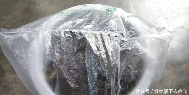  果子@野外挖一棵“枸杞树”，做成小盆景，挂满红果子，美白又养颜