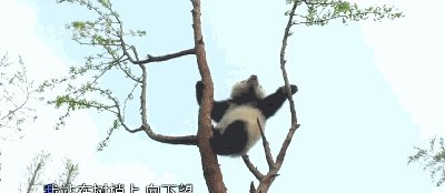 山洪、台风、地震，出行路上这些求生知识必须懂