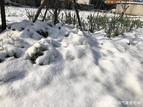 积雪10厘米！寒潮已强势南下，江淮黄淮一夜大雪后银装素裹