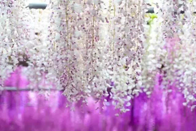 最适合一个人旅行的20个国内外旅行地，2019欠自己一次独自旅行