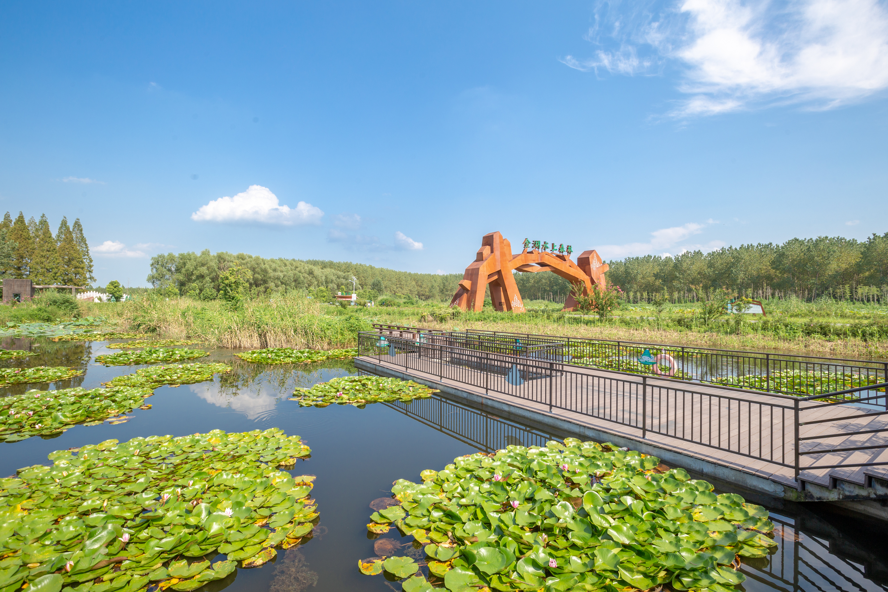 江苏罕见的水上森林,拥有万亩水杉林,是座名副其实的天然氧吧