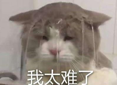  加油：小米击穿鞋子行业暴利！49的价格398的性能，网友喊话安踏：加油