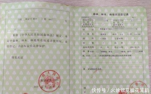 土地承包再延长30年，没有分到土地的农民该咋办？一直不种地吗？