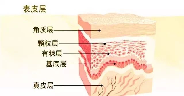 当红女星成天去医美，为啥无修图还是这么吓人?
