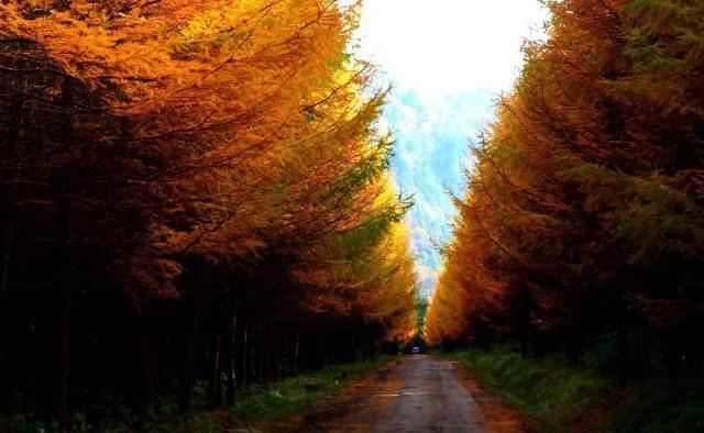 专属于十月的旅行目的地 你知道几个？