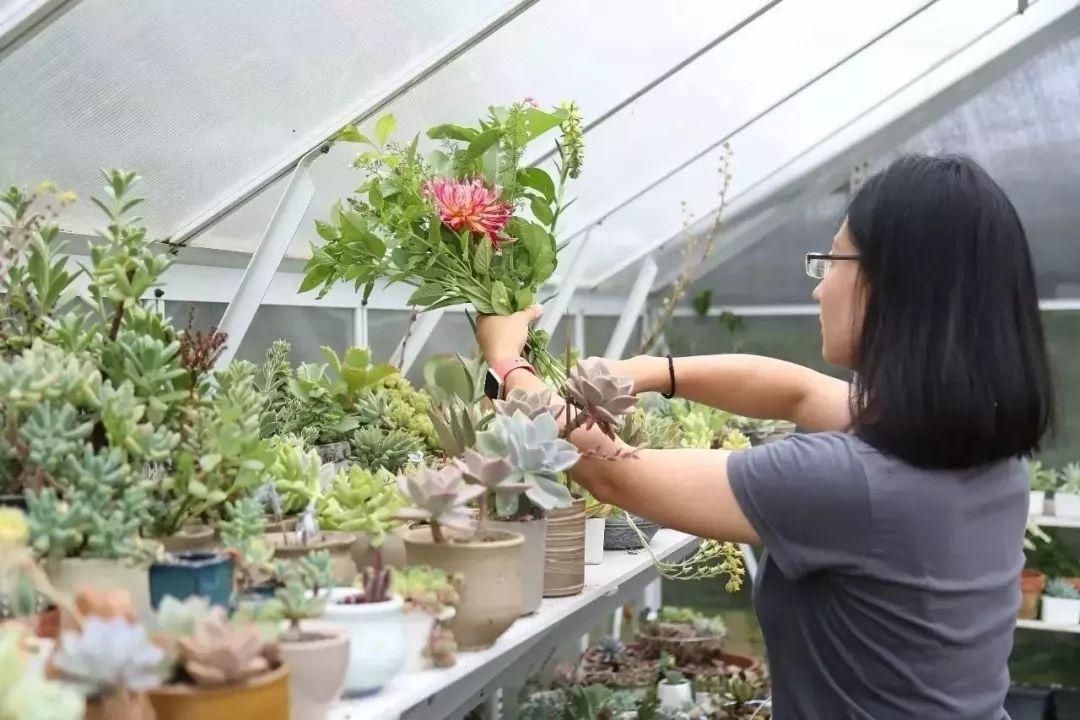  『花房』你在梦想有一个花房的时候，别人家的姑娘已经用一亩地实现了