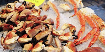 国务院新闻办官网再次重磅推荐郑州！一带一路，“郑”在崛起！