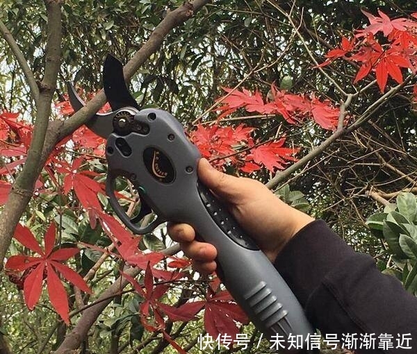 中国 “电动锄头”一出，耕地不再愁，一天能锄几百亩 ，忒省力