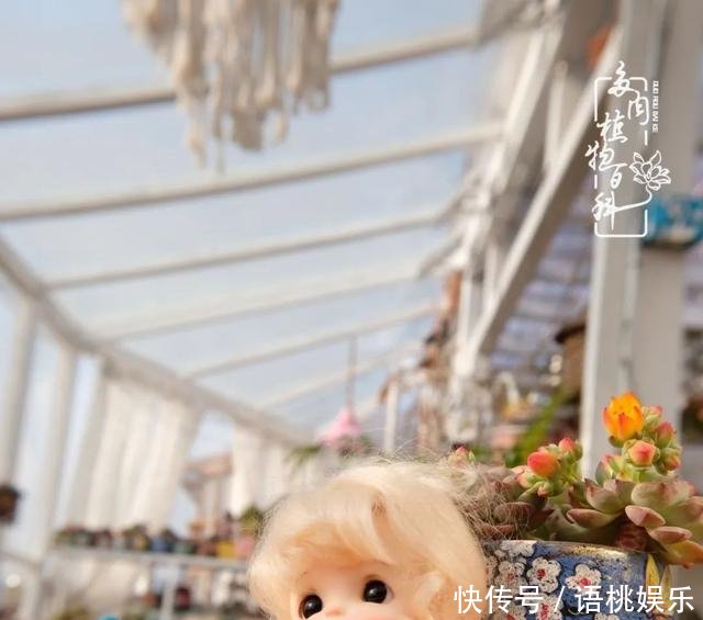 #喜欢#一粥一饭填饱肚子,一屋一花神仙日子!生命不止,玩趣不停!