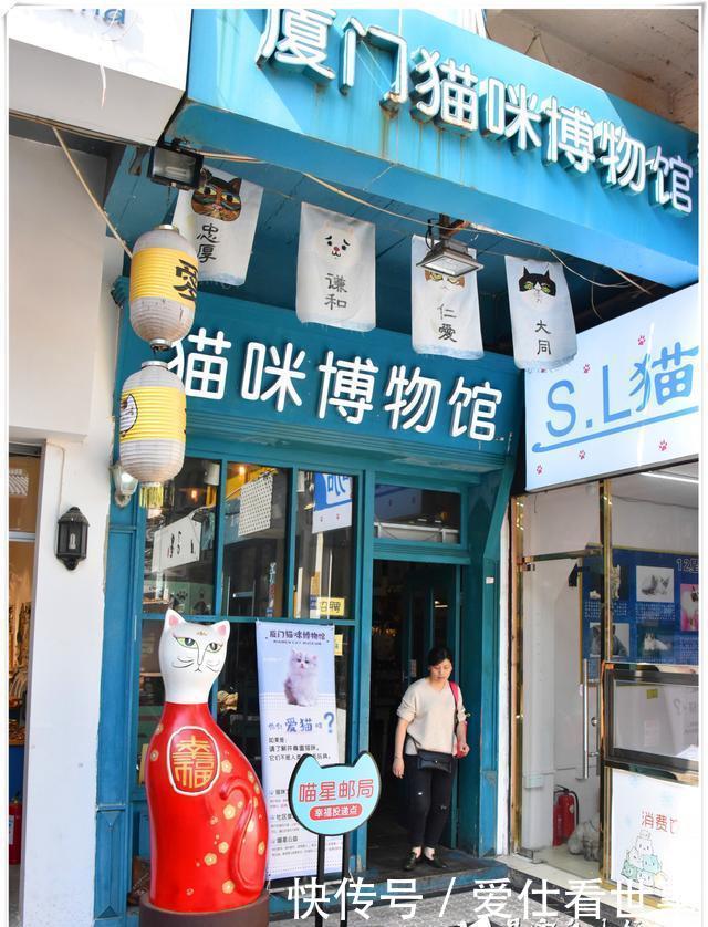 「鸽子」顶澳仔猫街撸猫、白鹭洲喂鸽子,厦门文艺之旅,去过才算没白来!