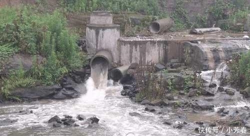  「养殖场」继农村养殖场、砖厂被关停后, 下一个, 终于到它了!