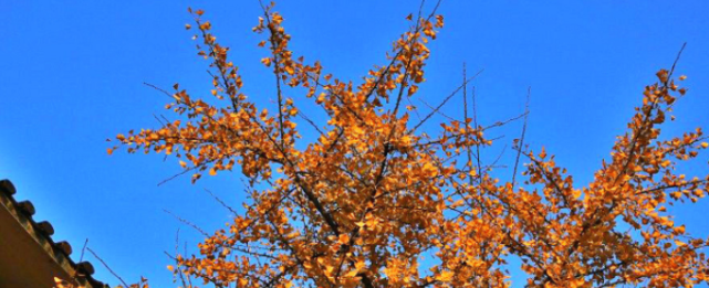 湖南最“不宜居”的城市，房价一涨再涨，空气质量吊车尾