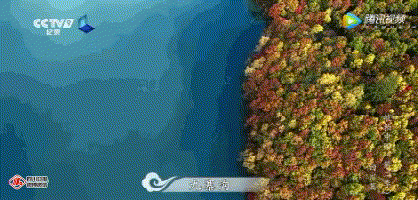 《航拍中国》四川篇来了！高空鸟瞰的家乡这么美，四川人转起来！