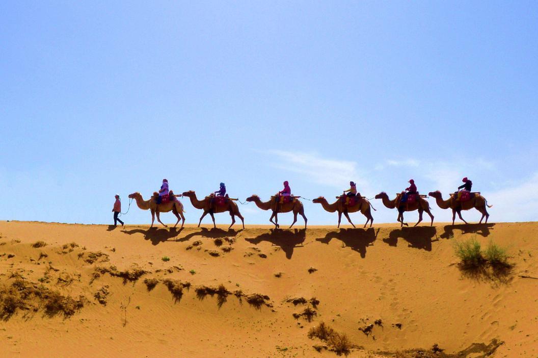 中国唯一被“保护”的沙漠，需靠人工填沙“续命”，只剩200多亩