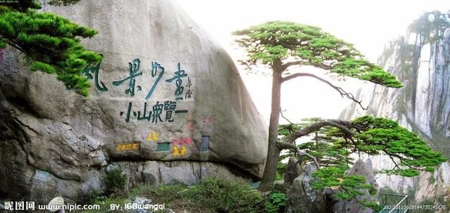 中国最著名的10棵古树名木