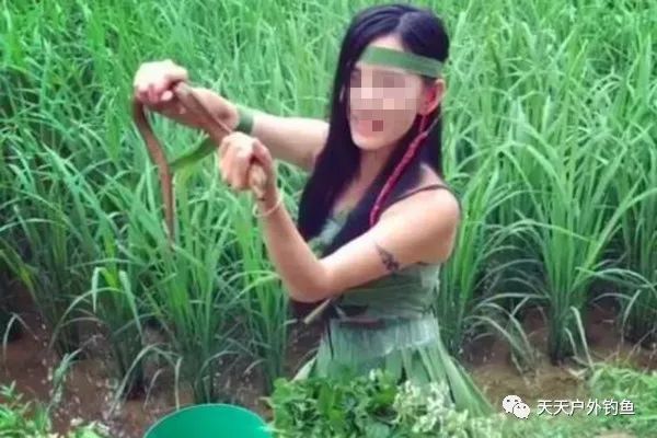  「小龙虾」野生黄鳝鲜美滋补，可以用这种民间钓法垂钓，比钓鱼更有乐趣！