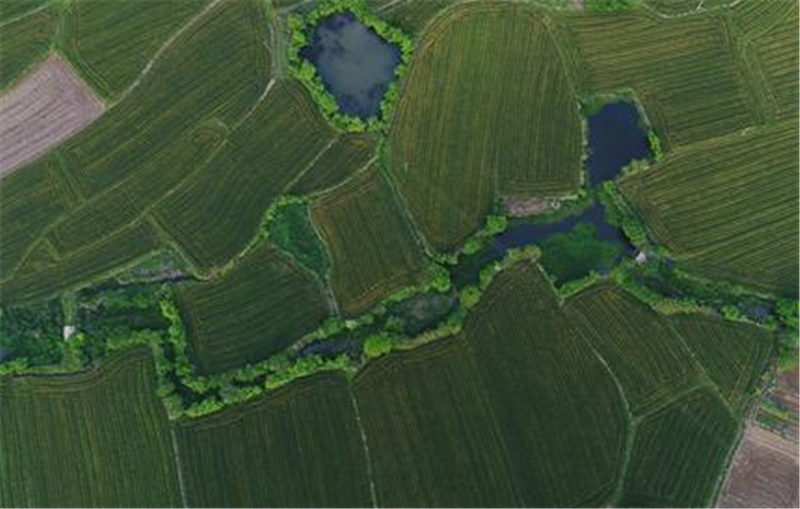  田时|农村承包地开始“归并”，其中有什么样的原则？