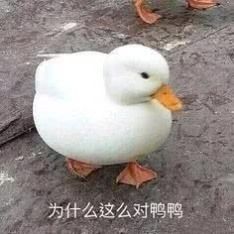 “我太难了！”今天没有一只鸭子能活着走出藤县、走出广西！