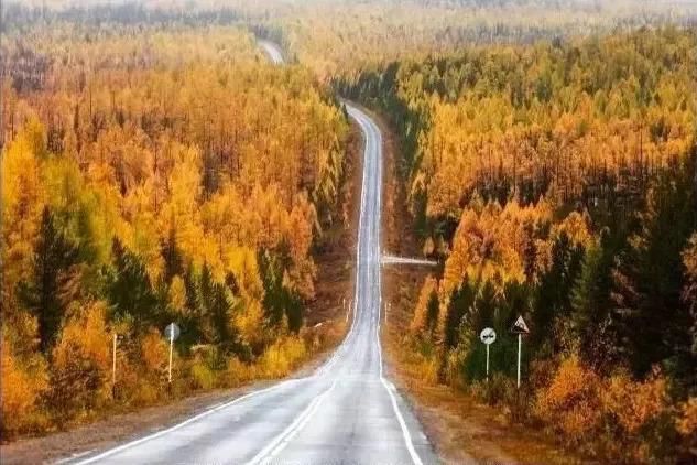 再过半个月，贝加尔湖的秋简直要逼疯摄影师!