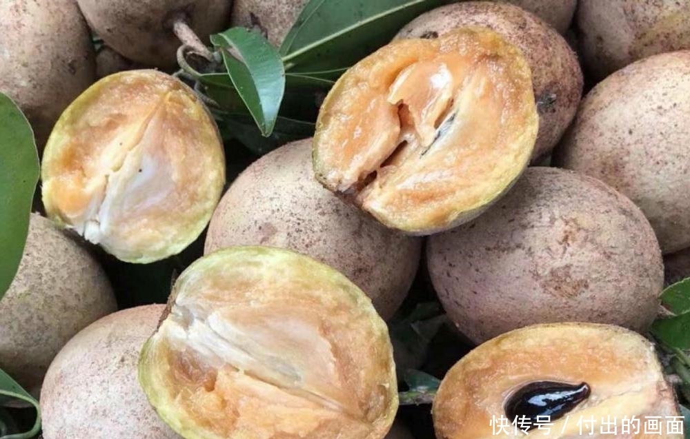  【种植】含钙量居水果之首，价格常年保持40元一斤，却少有农民