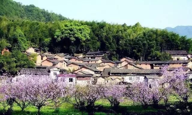 春天最适合一个人小住几日的安静古镇，累了就出去走走！