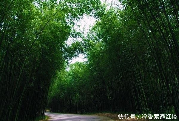 这个景区在河南，因景色美人来了不想走，瀑布群花海翠竹要素太多