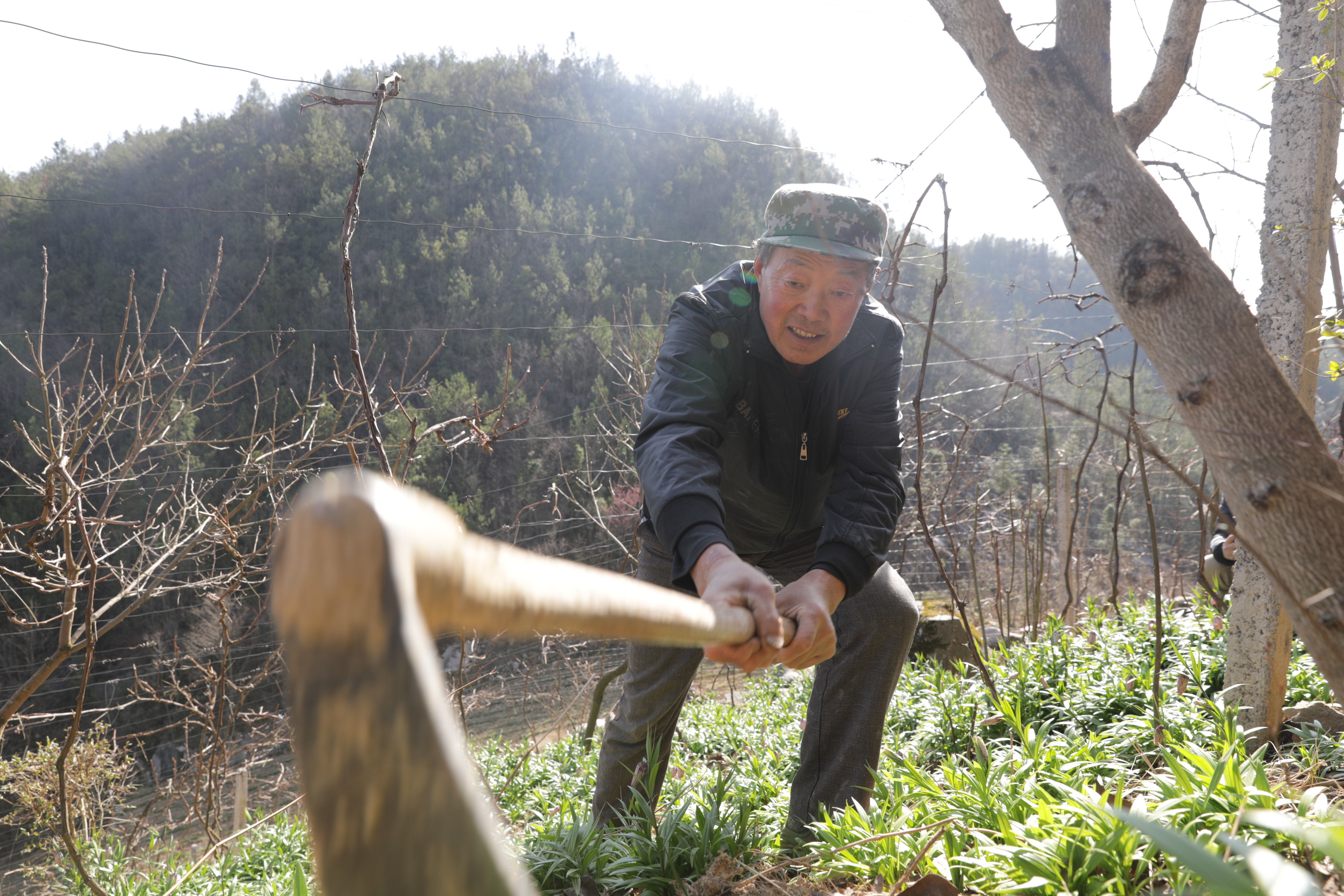  「新华社发」湖北一个家庭农场的春日战“疫”