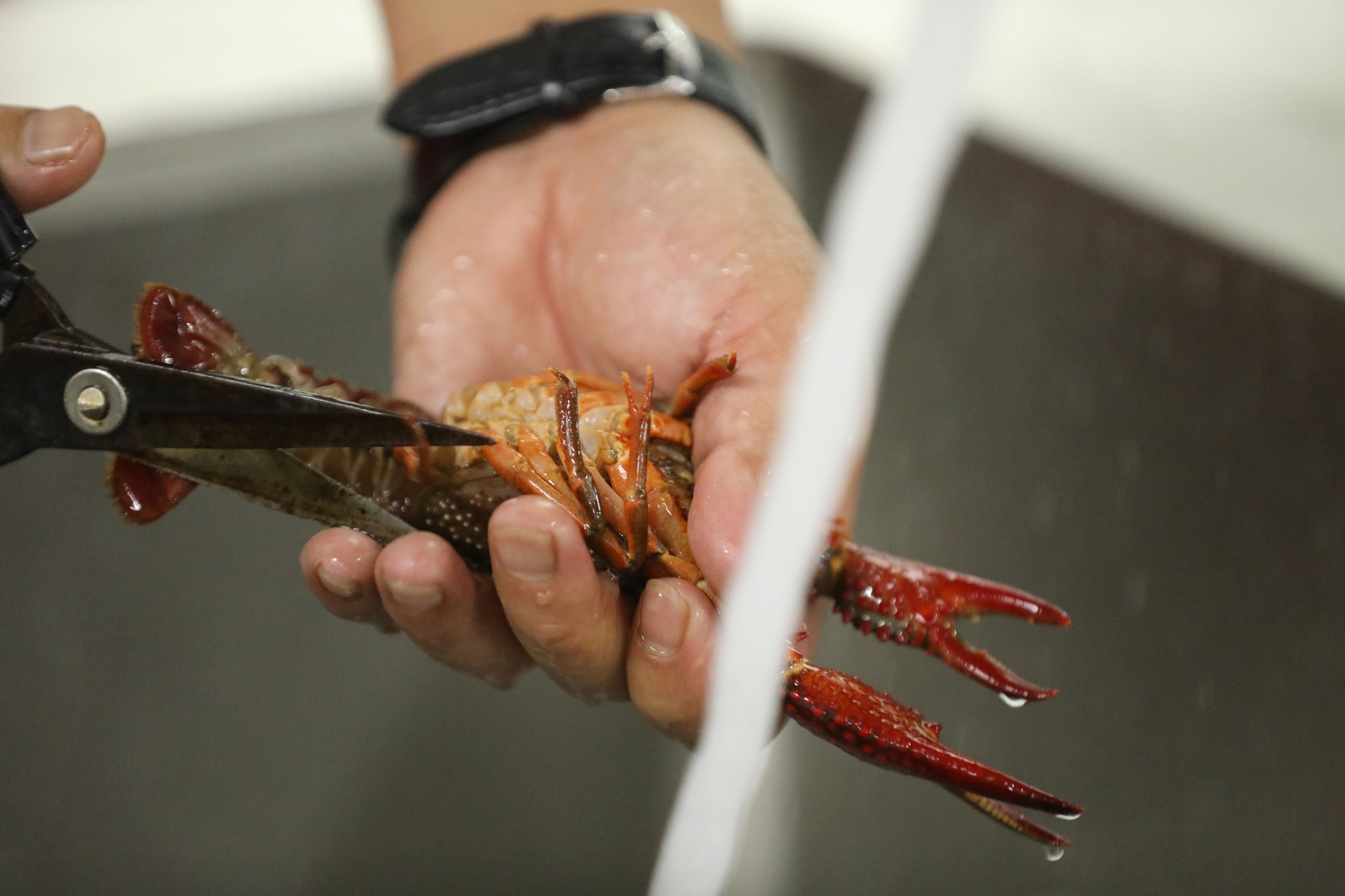 第一批00后进高校学做小龙虾,同学来自美国非