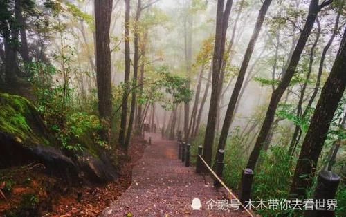 陕西安康的道教圣山，群峰叠障，因鬼谷子而出名，万壑竟秀似仙境