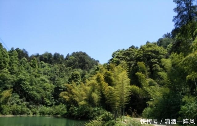 重庆被忽视的一处公园景点，是4A级景区，被打造成国家级森林公园