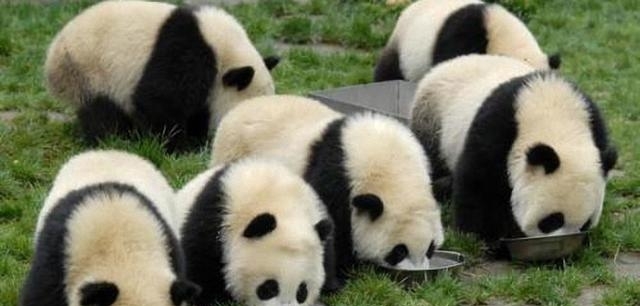 除香港、澳门，中国还有一个特别行政区，存在感弱到让人忽视！