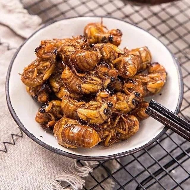 为啥农村老人说立秋之后“一个知了猴，三斤半羊肉”，什么意思？