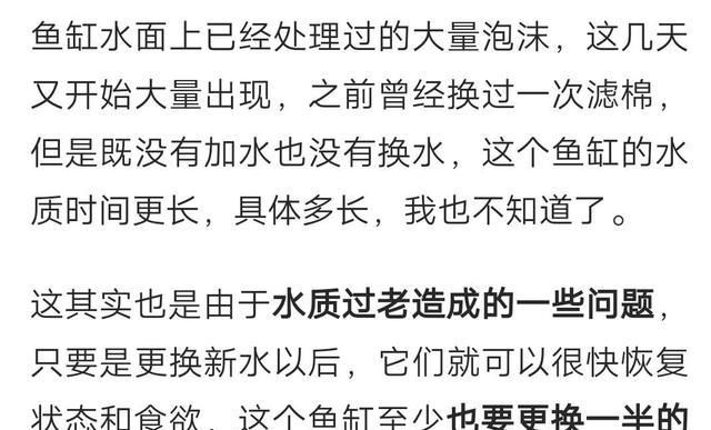  碰到：新鱼友碰到下列四句话养鱼知识，千万不要轻易相信