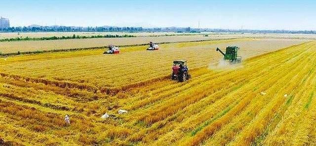  【上涨】2020年以后，农民迎来“3上升1下降”，开支少，赚头多